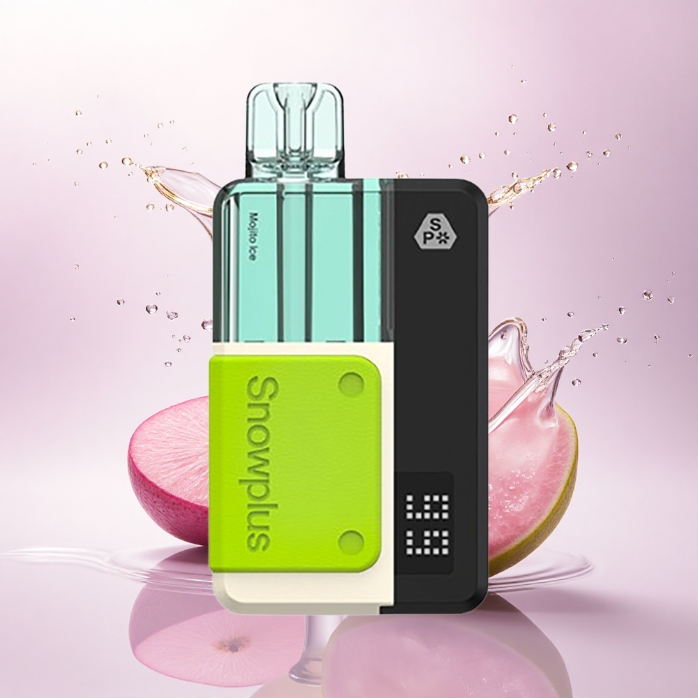 Snowplus Swift 5000 Puffs Mojito Is 2% Nikotin 1000 mAh Dual Mesh